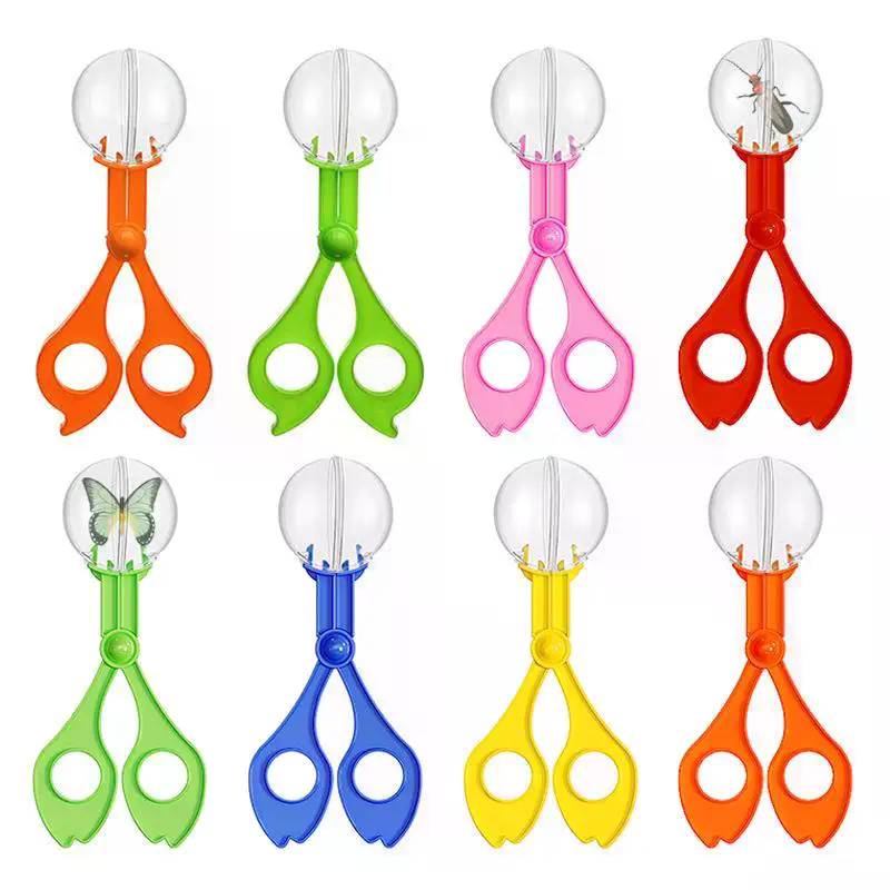 Educational Bug Catcher Scisso - đánh giá và giá Outdoor Camping Activities For Kids
